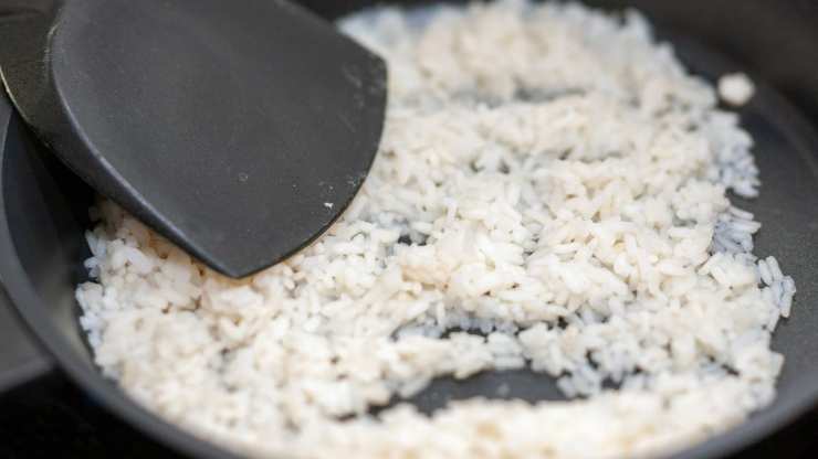 Risotto sugo