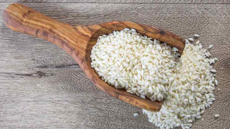 Risotto rucola